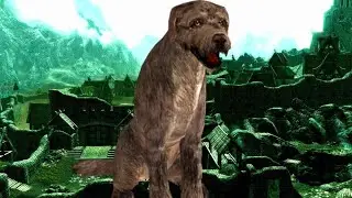 Skyrim: Barbas 🤪 #10