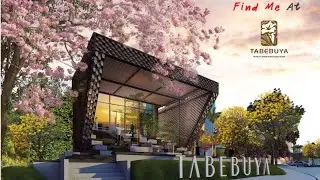 Impresahaus Cluster Rumah Tabebuya BSD Desain Khusus New Normal Post Pandemi
