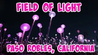 Sensorio Field of Light,  Paso Robles, CA