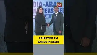 Palestine FM Varsen Aghabekian Shahin, in Delhi For 2nd India-Arab Foreign Ministers&rsquo; Meeting 2026