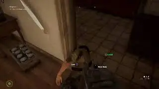 Far Cry 5 with a friend