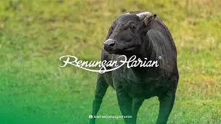 𝘍𝘐𝘕𝘐𝘚𝘏𝘌𝘙 𝘔𝘌𝘋𝘈𝘓 | Renungan Harian&reg; (Audio)