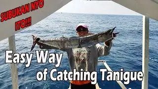 Easy catch BIG/GOOD Size WAHOO tanigue/PAGHULI NG TANIGUE GAMIT ANG ROBOT-ROBOT (NAKA-PITO)