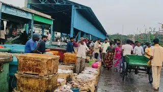 Vizag harbour fishing Friday morning market live 8/8/25