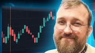 RIPPLE XRP WHAT IS THIS?! CHARLES HOSKINSON JUST SAID THIS ABOUT REGULATION!!!! #xrp