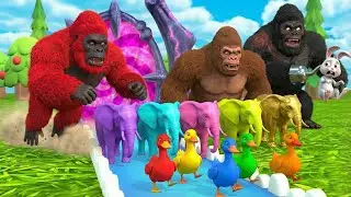 Big Animals Color Walk 🐘🦆🦍 | 3D Animation