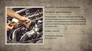 LA PROFESSIONNALISATION - Bac Pro; BTS; CAP; BEP.