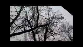 M.O.M - Fascination