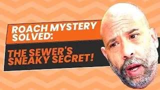 Discovering the real reason behind persistent roaches, sewer smoke test reveals the hidden truth