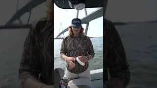Fishing Setup for Bull Redfish