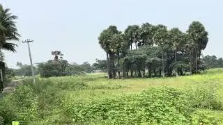 6379170190 திண்டுக்கல் to திருச்சி செல்லும் வழியில் வடமதுரை அருகில் 2.90 ஏக்கர் விற்பனைக்கு#agri 