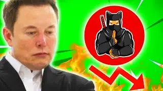 SHIBNOBI SHINJA BAD NEWS: ACT QUICK OR LOSE IT ALL...YOUR CHOICE (PRICE PREDICTION TODAY 2022)
