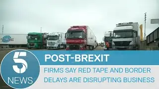 Brexit: Businesses struggle to adapt to new trading rules | 5 News