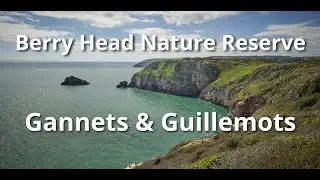 Berry Head Nature Reserve