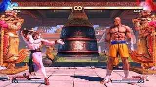 Vega vs Sagat (Hardest) - Street Fighter 5. | Epic Battle
