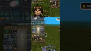 Выбираем тотемное животное #твич #стрим #стример #твичстрим #pw #perfectworldgameplay