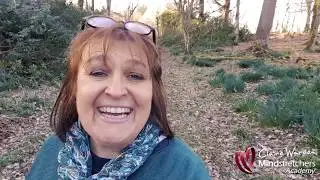 Virtual Nature Classroom - An Introduction