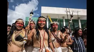 Without Land There Is No Life - Nemonte Nenquino, Waorani leader from Alianza Ceibo, Ecuador
