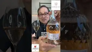 Corvezzo Prosecco DOC Ros&eacute; Extra Dry Millesimato 2022 93 Points #shorts #prosecco #ros&eacute; #corvezzo