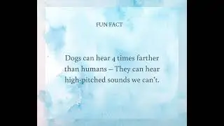 Fun Fact Dog hearing #dog #pets #funfacts #subscribe