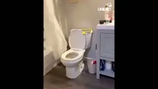 Plumber messed up the bathroom News meme!