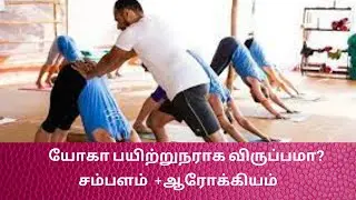 DIPLOMA IN YOGA TEACHER