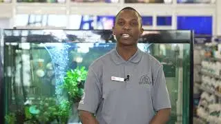 Fish Tank Cleaning Mastery: Safe Steps for Healthy & Happy Fish!