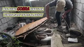 COBRA, HINAYAANG TUMIRA SA HINDI TAPOS NA BAHAY