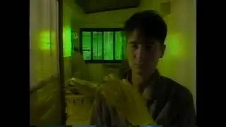 1990 Red Hot + Blue 10 K D Lang - Cole Porter - So in love