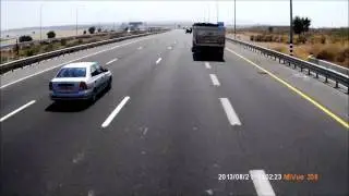 Животные на дороге