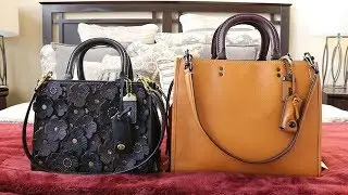 Coach Rogue 31 & Rogue 25 Comparison