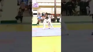 KO punches #ArtOfKarate #Viral #Shorts #Fight #karate #combat #martialarts #selfdifence #dojo #ko