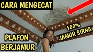 CARA MUDAH MENGHILANGKAN PLAFON BERJAMUR || MENGATASI PLAFON BERJAMUR LEMBAB