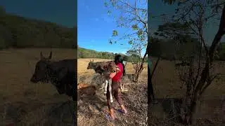 La infancia m&aacute;s bonita es en el campo