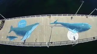 Busselton Jetty's life-size whale mural!