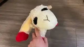 Multipet Lamb Chop Dog Plush Toy, Squeaky Dog Toy for Small & Medium Dogs Review