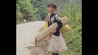 An Orphaned Boy Finds Hope With a Single Mother | What Happens Next Will Touch Your Heart