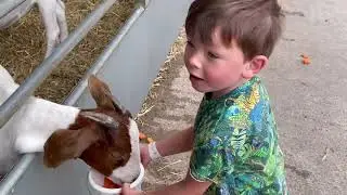 Reddish Vale Farm Adventure