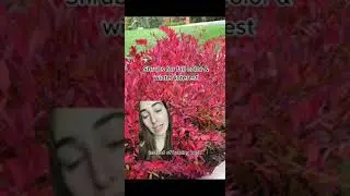 ❌DON&rsquo;T PLANT THIS❌ Part 1