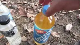 Purify Lake Water With Iodine
