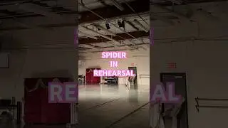 SPIDER RESCUE MISSION #ballerina#spider#outtakes#bloopers#rehearsal#ballet#tutu#funny#rescue