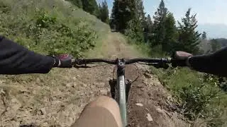 Unique Rowdy Beginner MTB Trail: One Wild Ride! | Lupine Trail | Sun Valley, Idaho