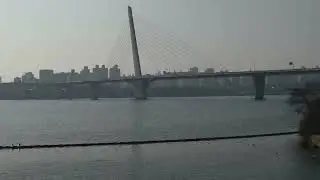 난지한강공원가는길에서만난 오리#오리#한강공원#duck#hanriver