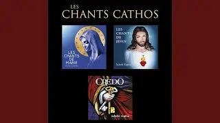 Salve Mater Misericordiae