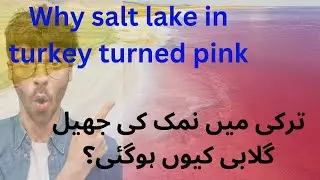 Mysterious pink lake in turkey | tuz golu turkey | pink mystery solved  @sminfo9955