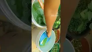 Homemade powerful neem oil ###