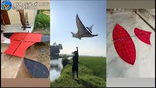 [TikTok Diều Sáo] Series Tổng Hợp Các Video Diều Sáo Hay Nhất #198