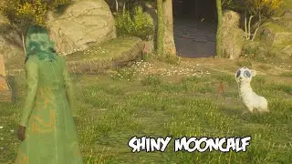 Hogwarts Legacy Shiny Mooncalf Location
