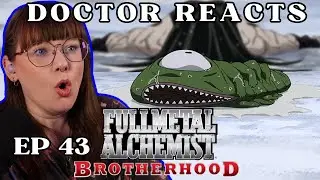 LIL WORM!! | Dr Of Literature's FIRST REACT to Fullmetal Alchemist Brotherhood | Ep 43