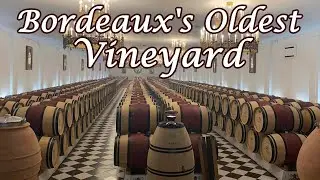 How Wine is Made at Bordeaux's Oldest Vineyard